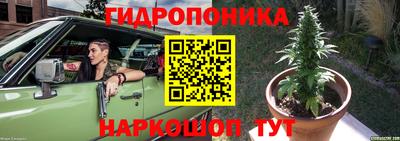 мяу мяу мука Пенза