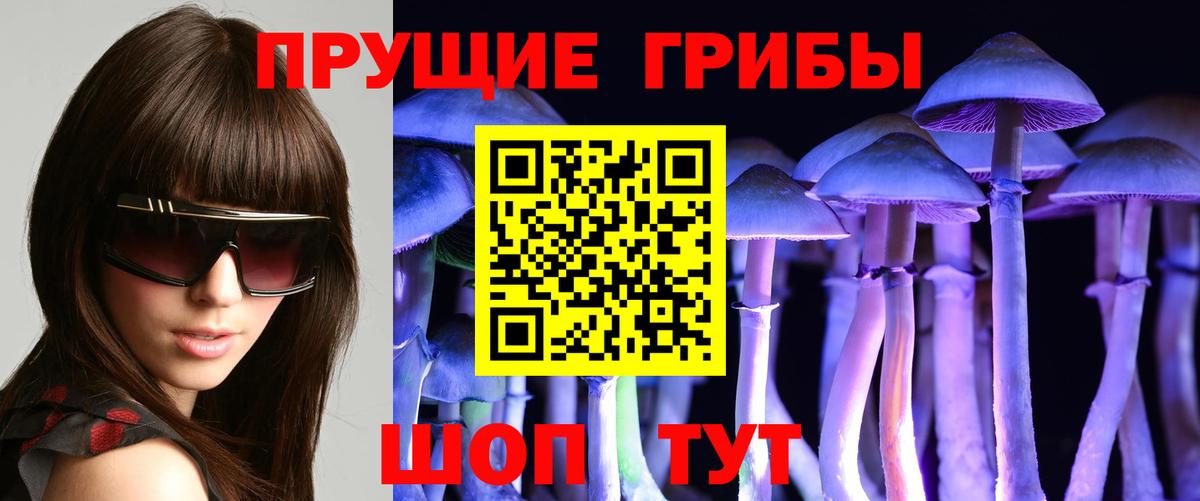 Сертолово  Галлюциногенные грибы MAGIC MUSHROOMS  Вход с VPN 